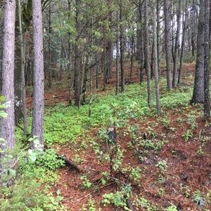 Meet your Posher, Ellie